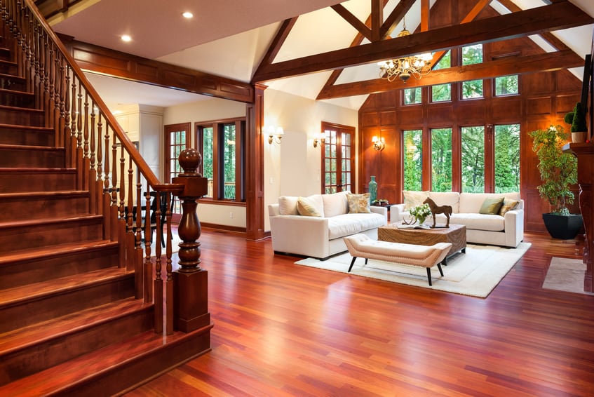 Beautiful living room interior in new luxury home